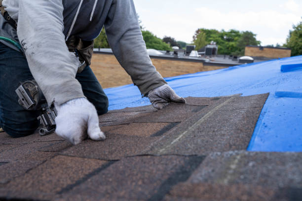 Sealant for Roof in Crystal River, FL