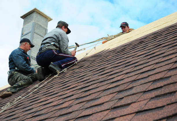 Quick and Trustworthy Emergency Roof Repair Services in Crystal River, FL