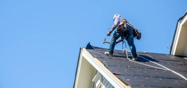 Best Roof Gutter Cleaning  in Crystal River, FL